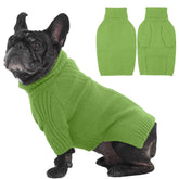Sudadera IECOii para perro mediano frente en verde hierba, cálida y elegante