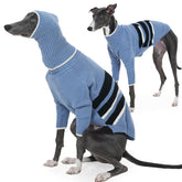 IECOii suéter galgo italiano azul con capucha desmontable, cómodo y cálido.