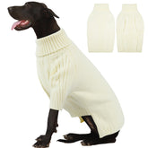 IECOii suéter para perro extra grande, frontal, ideal para paseos invernales.