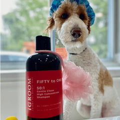 iGroom champú para perros lujo: fórmula concentrada ideal para baño profesional y ahorro.