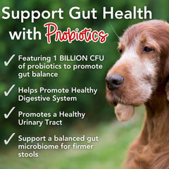 iHeartDogs Probioticos Omega 3 Polvo, mejora digestión y pelaje