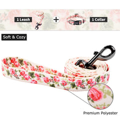 Ihoming collar para perro con hebilla rápida y acero inoxidable, seguridad y uso sencillo