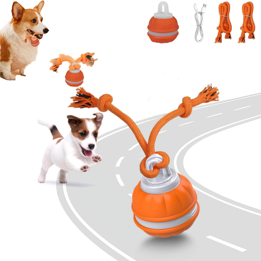 IIEFFJL Pelota interactiva para perros pequeños rodando provoca juego activo y enfoque