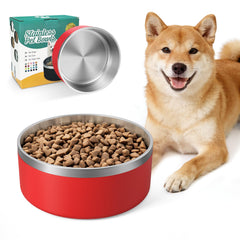 IKITCHEN tazón perro inoxidable doble pared para mantener comida fresca