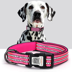 ilFindYou collar reflectante con código QR para mayor visibilidad nocturna