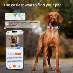 ILFINDYOU collar reflectivo para mayor visibilidad nocturna y seguridad