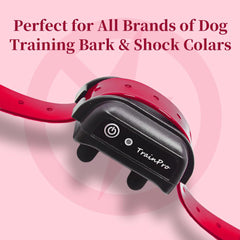 TrainPro – Correa de repuesto universal para collar de entrenamiento canino, 27,5 por 0,75 pulgadas, TPU impermeable