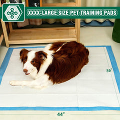 IMMCUTE pads absorción rápida: mantiene seca la superficie.