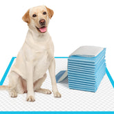 IMMCUTE pañales para perros grandes 28x30, 50 unidades para entrenamiento seguro