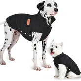 Inanil chaqueta puffer para perro pequeño, vista frontal, mantiene calor durante paseos.