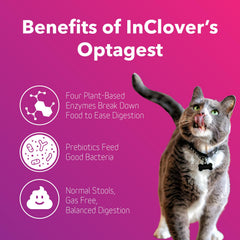 InClover Optagest: espolvoreado sobre comida para mejor absorción de nutrientes