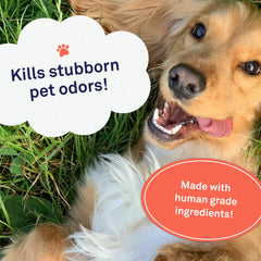 Petpost ingredientes suaves para piel y pelo: cuidado diario sin irritación.