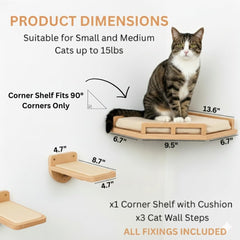 INICIO estante flotante de abedul para gatos, diseño moderno y natural.