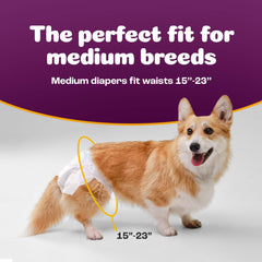 Pañales Inspire Pet Care con protección contra derrames para perras hembra.