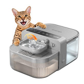 Invengo bebedero para gatos sin filtros, agua siempre limpia.