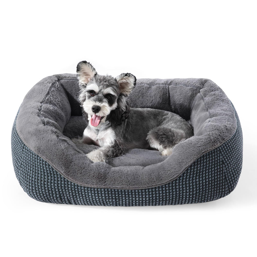 Cama INVENHO para perros pequeños, vista general, descanso cómodo.