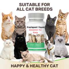 IVULTRA refuerzo de inmunidad para gatos, posible beneficio al mezclar con comida