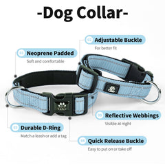 IVY&LANE collar acolchado con mango, comodidad al sostener durante paseos.