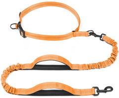 iYoShop correa retráctil manos libres para perro, cómodo paseo sin manos.