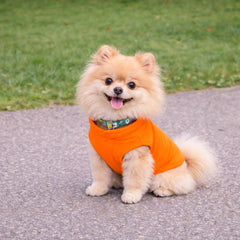 Chaleco JACKO CO sin cierres, fácil de poner para perros pequeños.