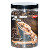 JADINGSFARM grillos liofilizados en envase, fuente de proteína para reptiles
