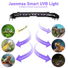 Jaenmsa luz LED 6500K para reptiles, estimula actividad y apetito con UV