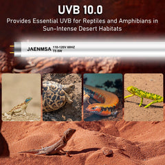 Jaenmsa T5 UVB 10.0 bulbo-barra 12 pulgadas, simulación de sol para área de basking.