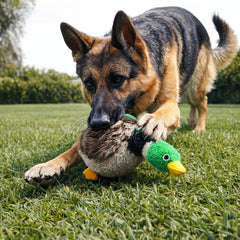 Jalousie Juguete Lobo sin relleno con chirrido para juego activo