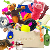 Jalousie juguete peluche con sonajero, ideal para perros pequeños y sesiones de juego diarias