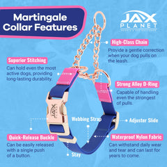 Hebilla metálica y anillo D resistente en el collar JAX PLANET