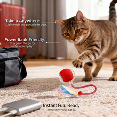 Pelota JBD con movimiento aleatorio 360 para ejercitar músculos.