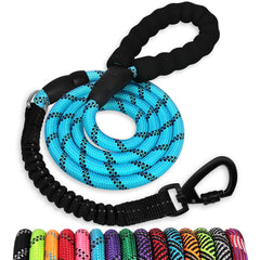 Correa Jenico de 6 pies con bungee reflectiva para paseos seguros.