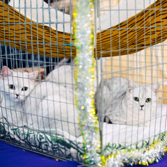 Jetec hamaca reversible con huellas de gato, refugio suave para mascotas pequeñas.