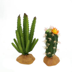 JIHAQUA planta reptil suculenta, sin cuidado diario, ideal para refugio y estilo.