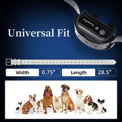 JimysCo EveryPet: Correa Repuesto 27,5” x 0,75” para Collar de Adiestramiento - TPU Impermeable, Ajustable y 35 Agujeros