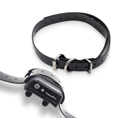 JimysCo EveryPet: Correa Repuesto 27,5” x 0,75” para Collar de Adiestramiento - TPU Impermeable, Ajustable y 35 Agujeros