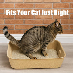 JINVOGREEN caja desechable para gatos, uso temporal en hoteles