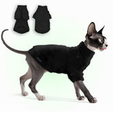 JL WarmPaws suéter para gatos sin pelo, frente, comodidad para sesiones de fotos y paseos.