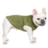 Sudadera Jnancun para gato en color oliva, ajustada para mantener el calor.