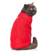 Jnancun sudadera elástica para gato en primer plano, ofrece comodidad y calor al exterior.