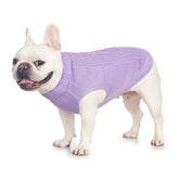 Sudadera extensible de Jnancun para gato, ideal para mantener el calor en días fríos.