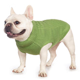 Gato con suéter elástico Jnancun en verde, cómodo para el frío.