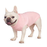 Jnancun suéter para gatos Rosa Claro, vista frontal, calor suave para paseos fríos.