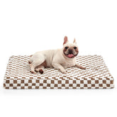 Cama ortopédica JOEJOY para perros medianos con espuma tipo panal y soporte.
