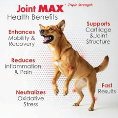 Joint Max TS etiqueta nutricional clara para revisar ingredientes.