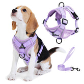 Arnés Jolifield sin tirón para perro pequeño con clip frontal para paseos suaves.