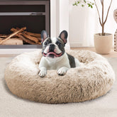 Cama JOLLYVOGUE dona suave, ideal para confort diario.