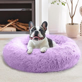 Cama donut calma de JOLLYVOGUE ofrece descanso suave y seguro.
