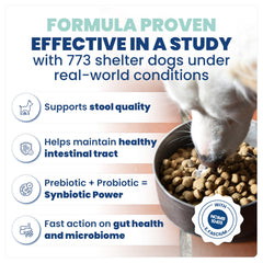 Jope Synbiotic GB-01: ingredientes clave que combinan probiótico y prebiótico para equilibrio intestinal.