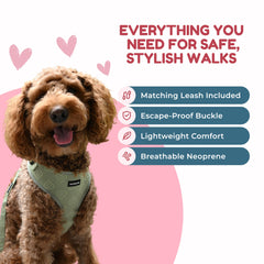 Diseno vibrante JoyCrafted-FBL verde para perros con personalidad.